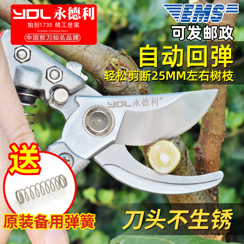 永德利修枝剪刀园艺工具果树花艺修剪树枝园林剪刀省力枝条摘果剪