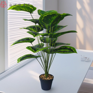 �羳�Gֲ�G�}�~ֲ���^�z�~��c�Ҿ��b��辰�[�����R�d���滨