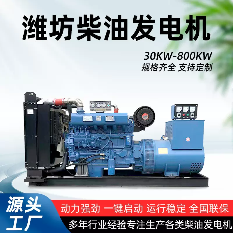 潍坊柴油发电机组100kw 400千瓦300酒店烧烤店养殖场户外备用发电
