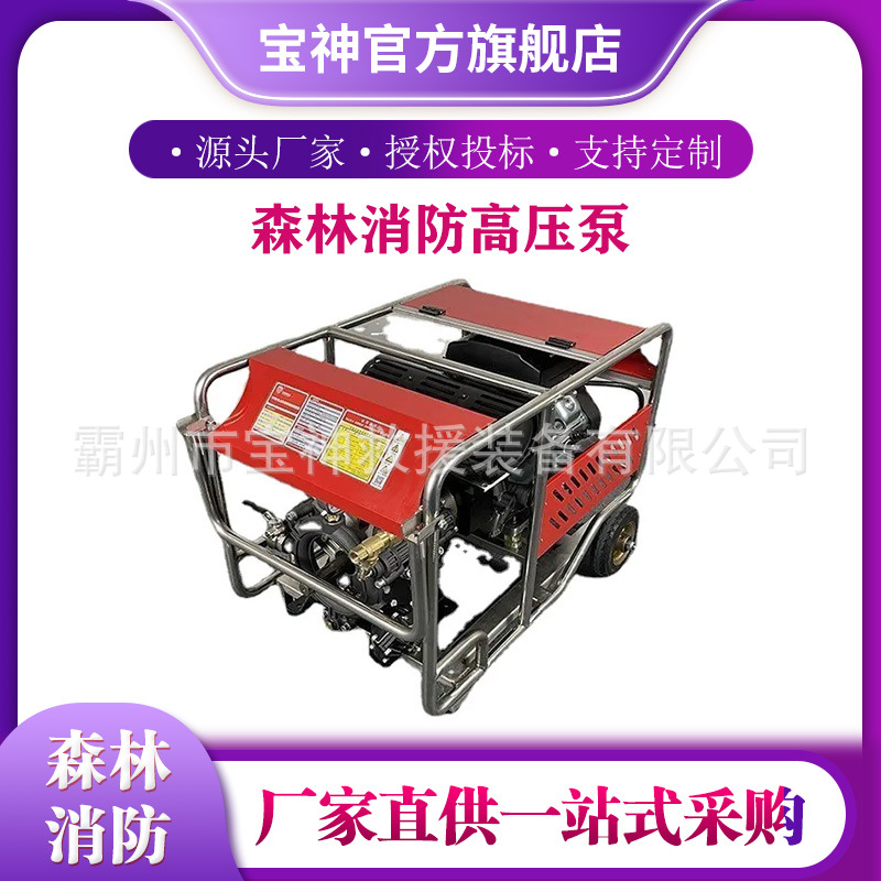 高扬程水泵YPB10.8/6四冲程手抬森林消防高压泵移动式隔膜注塞泵