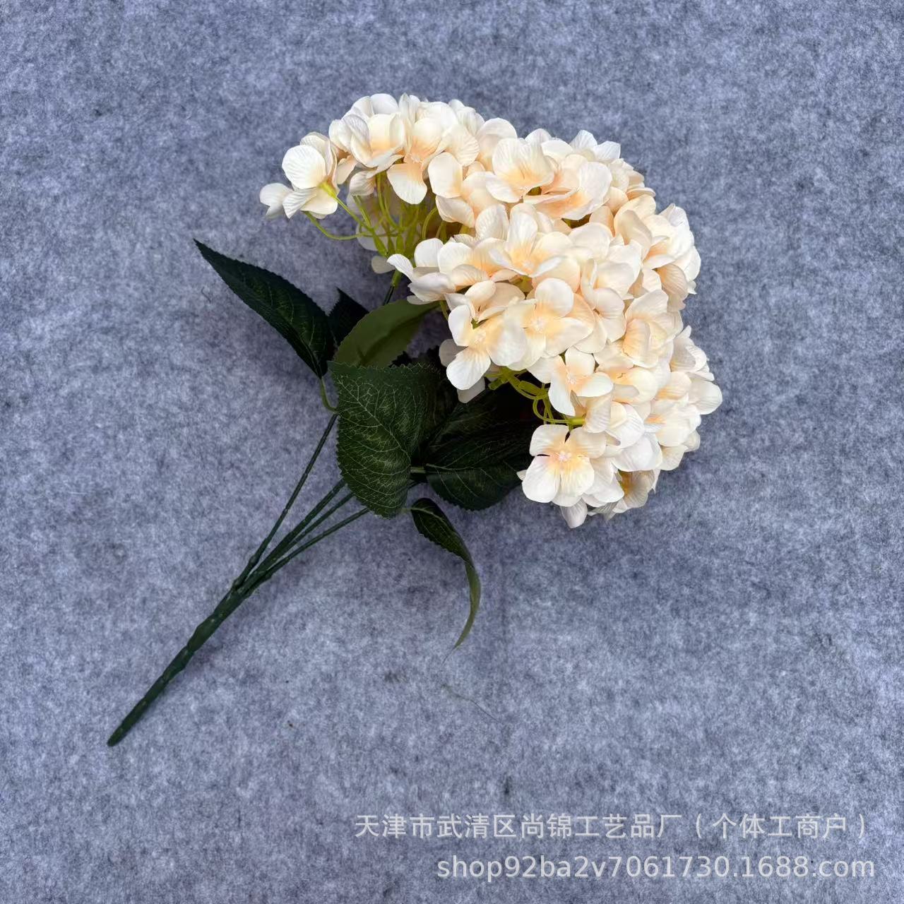 샴페인