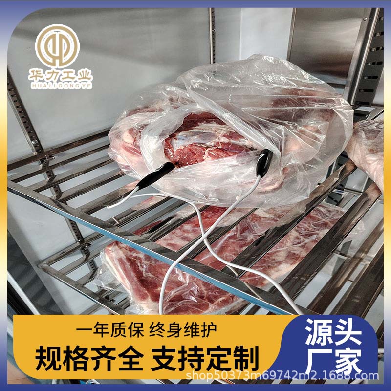 冻羊肉解冻机 冻肉解冻柜冻 马肉解冻设备商用小型缓化柜