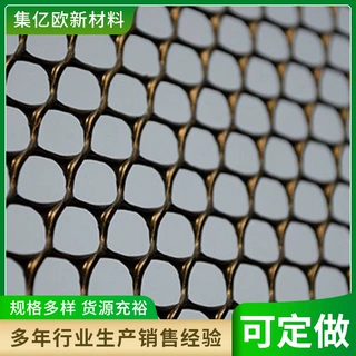 HDPE土工网厂家边坡护坡平网堤坝岩石防护土工网植物爬藤网