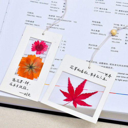 Specimen Bookmarks Dried flower embossed Bookmarks Handmade diy material bag Transparent plant leaves specimen for students