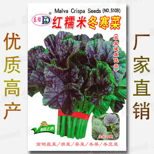 �tŴ�׶����˷N�� �s1000�� ���{�� ���� ���� ���� �ز˷N�����l