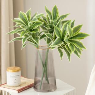�ٺ������Gֲ����ľ��Ѫ���콶�����F�҃��쾰���P��ˇ�bG�~