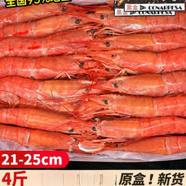阿根廷红虾l1大红虾进口超特大刺身级新鲜冷冻海鲜水产船冻虾生鲜
