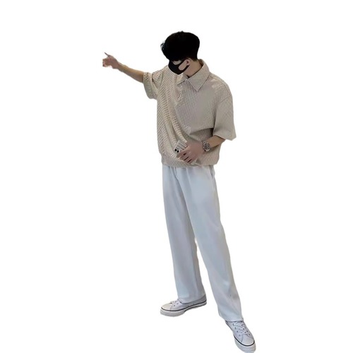 Summer Textured Polo Shirt for Men, Short Sleeve, Loose and Simple, Solid Color Printed T-Shirt Top