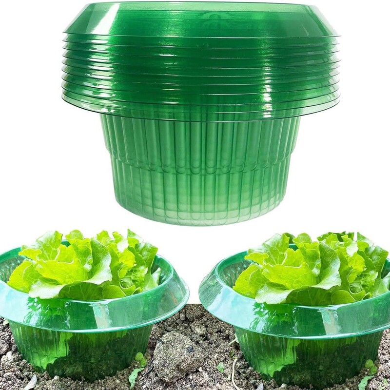厚い野菜の保護カバーのカタツムリは丸い方の虫の保護カバーの農業の保護の緑色の透明な植物のカバーを防ぎます。|undefined
