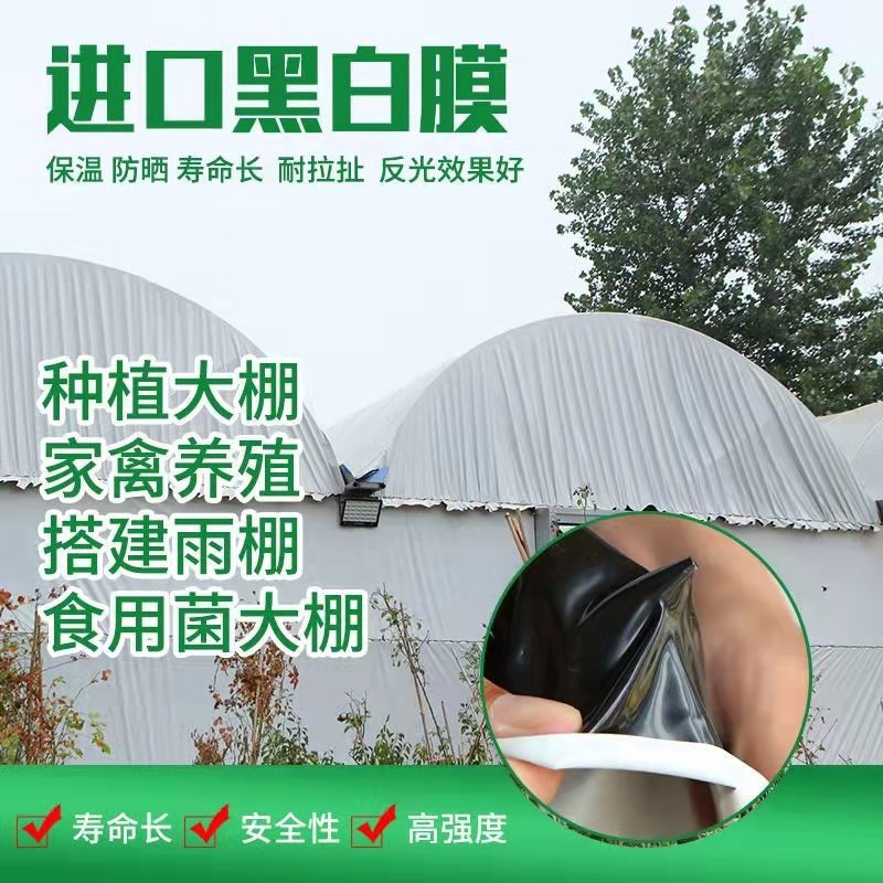 养殖大棚用的膜黑白加厚鸡鸭抗老化塑料遮阳防晒降温隔热遮盖批发|ms