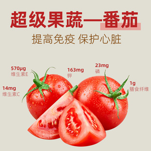 ����؈����ʳ�����u����ɹ����u��I�B�������Ȯ؈ͨ��