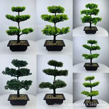 �羳����ֲ�������ɘ��҃��b���������ɼҾ��b�ӭ�����辰�[��