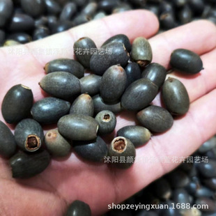 ��ɏ�N���_��ɏ�Ӻɻ��N��˯ɏ�N��ˮ��N���ļ��Nˮ�B����ɏ�N��