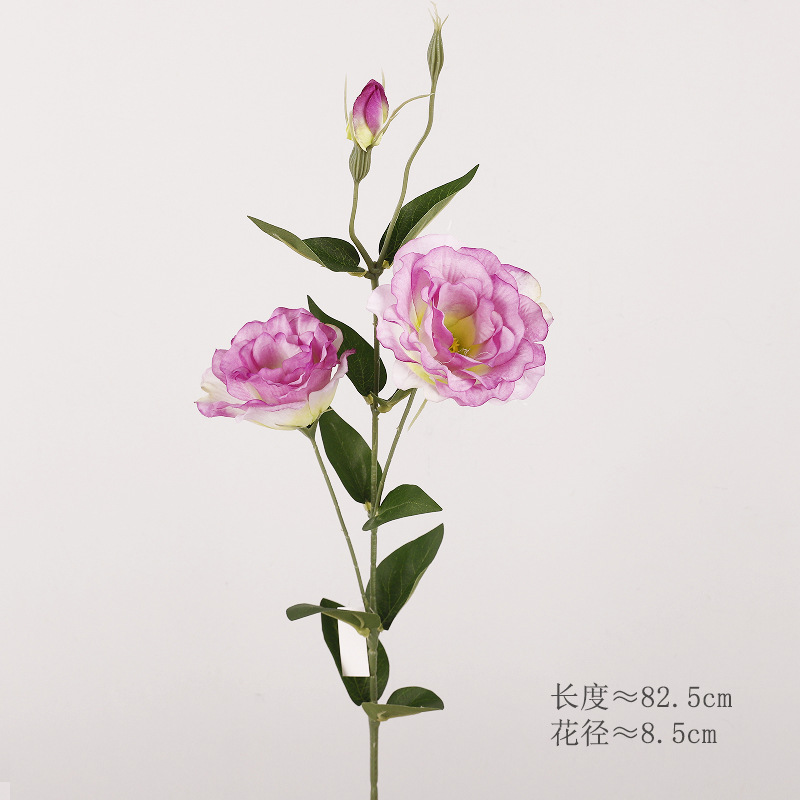 도라지꽃(짙은 보라색)