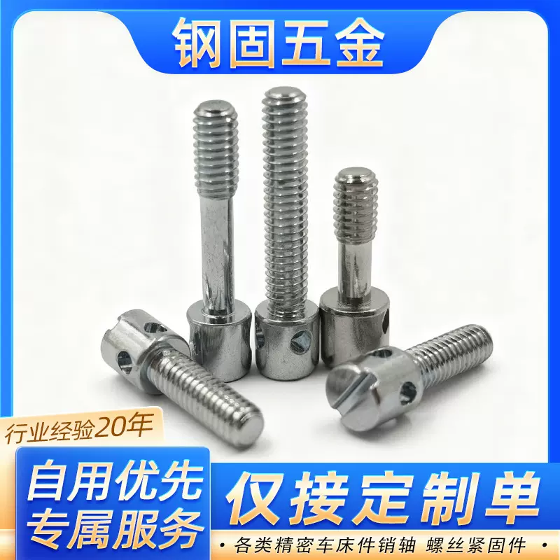 定制 304不锈钢铅封螺丝镀锌电表螺丝钉十字带孔螺栓封表螺钉M3M4