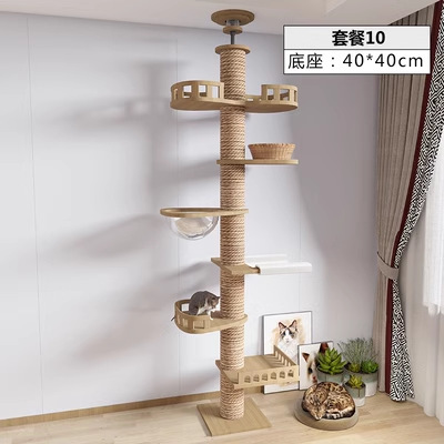 猫は天柱の一体型の猫の木の猫の巣を登ります。|undefined