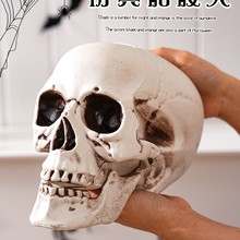 t^[^ģgf}bֲݾưɷƷ