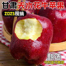 新果甘肃天水花牛苹果9斤粉脆两吃当季新鲜水果现摘现发整箱