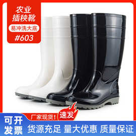 金橡劳工牌胶鞋高长筒雨鞋水产厨房养殖耐磨防滑工业雨靴防汛水鞋