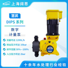 慧昇泵业智能数字式隔膜配料泵机械隔膜计量泵DIPS M/B型加药泵