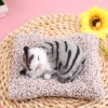 Bamboo charcoal cushion will be called ornaments to imitate the hairy cat sleeping, which will make a sound active carbon cushion cute pet decoration