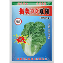 ����203��ꖴ�ײ˷N�� �߲˷N�� ԭ�S�ʴ����b10���b �Y���ײ�