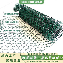 ��ˇ���ǾW�羳�Gɫ�T�ӉT���p�|�Bֳ�u�\�W����Q���W�����F�z�W