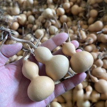 ������С���J�ҾӔ[�����С����ؔ�����S����Ȼ���J������