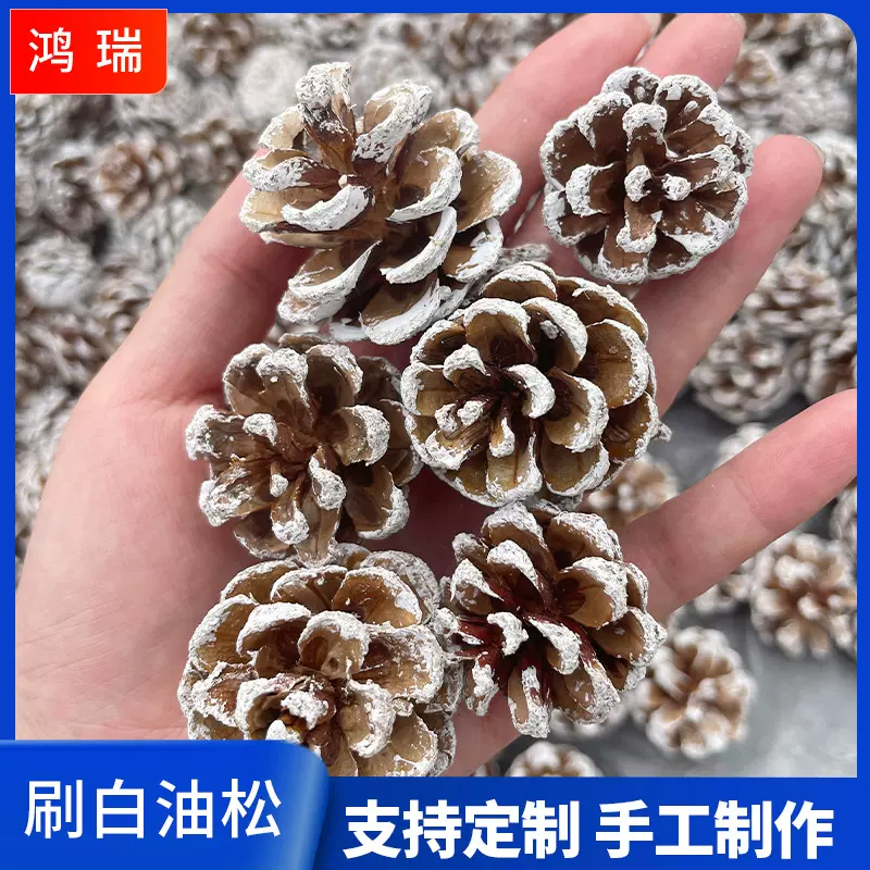 3-7油松果刷白圣诞松塔装饰摆件节日diy创意装饰材料染白支持吊线