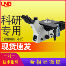 �F؛���м���Ŀ���ý������ϵ�y�@΢�RFX-41MW��X�ͽ����@΢�R