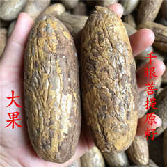 千眼菩提子の元の種の大きい果物の太っている古い果物の新しい果物の小さい果物の逸品の菩提果の手はペンダントの天然の文を遊んで遊んでいます。