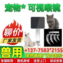 动物可视喉镜 宠物动物咽喉镜内窥镜  动物喉镜生产厂家260625