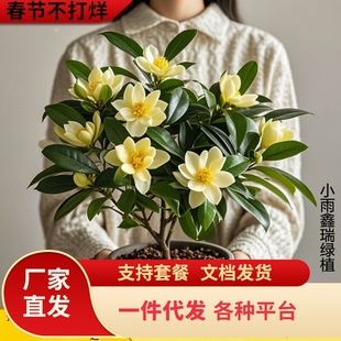 һ�����l��Ц�����Ԙ����Ϙ�������ͻ��܎������l؛�ϱ����ͺ�ͥ