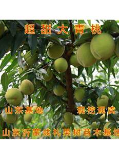 ��������Ҙ���޽�����ˮ�����S�Ҷ������Ҙ���������ϱ����Nֲ