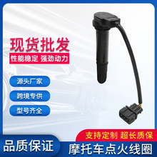 ���û���BN600 BJ300Ǯ��300 BJ600GS�����Ȧ��ѹ��96200P300000