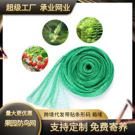 防鸟网花园保护网聚乙烯pe挤出网庭院植物水果树拦鸟类网厂家批发
