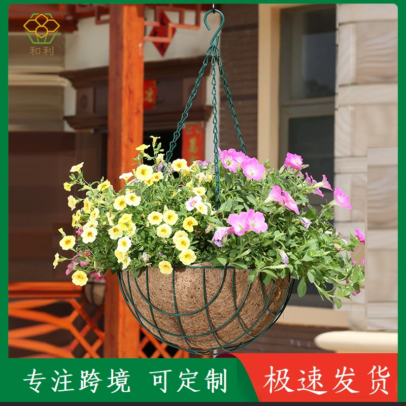 Трансграничный Садоводство железный каркас железная Кокосовая пальма корзина для цветов подвесная корзина цветочный горшок кокосовое пальто подвесная корзина подвесная Орхидея подвесной бассейн