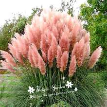 ؐ�߈@ˇ�^�p�ݷN�ӾW�t��*����y�Ӳ�*��Ȕ*â��