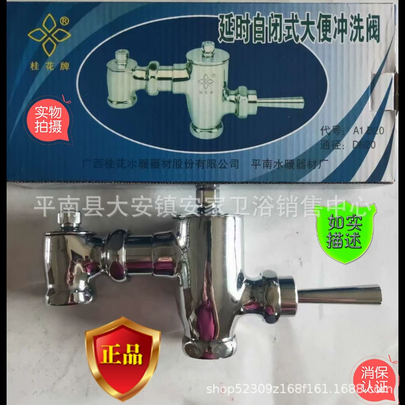 Guangxi Pingnan оборудование сантехника завода Osmanthus марки A1B20, A1B19 Ручки замедленного стула клапан промывки