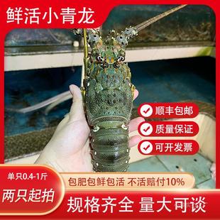 �r������С�������r���rˮ�a���r����Ұ��޴����r���]����