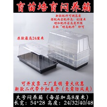 �������r�Ð��B�����縲�w�P���w��������ͥԺ�@ˇ������ů��