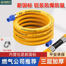 新国标通用防爆软管铠装燃气管煤气天然气液化气加厚阻燃管防鼠咬
