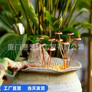 �¿�����ֲ��Ģ�� �廨��ͥԺ��ƺ�bز� �@ˇ�b�