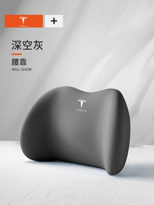 Tesla Car Special Headrest — Waist support - teslas-special-model-deep-space-color-has-a-waist-support