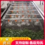 气泡商用定制小葱清洗机