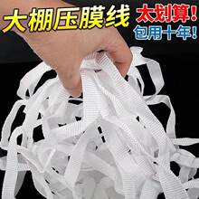 ��Ĥ�����Ҵ��Ĥ�K���K��ɫ��]�Ӻ������K�ӱ⎧�����K