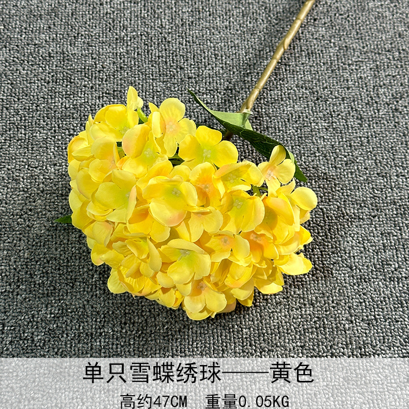 Sola nieve mariposa hydrangea amarillo