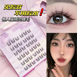 ؈���`�������ٽ�ë�������ּ��L���۽�ë�ֶ�ʽ���L��y��ϵ