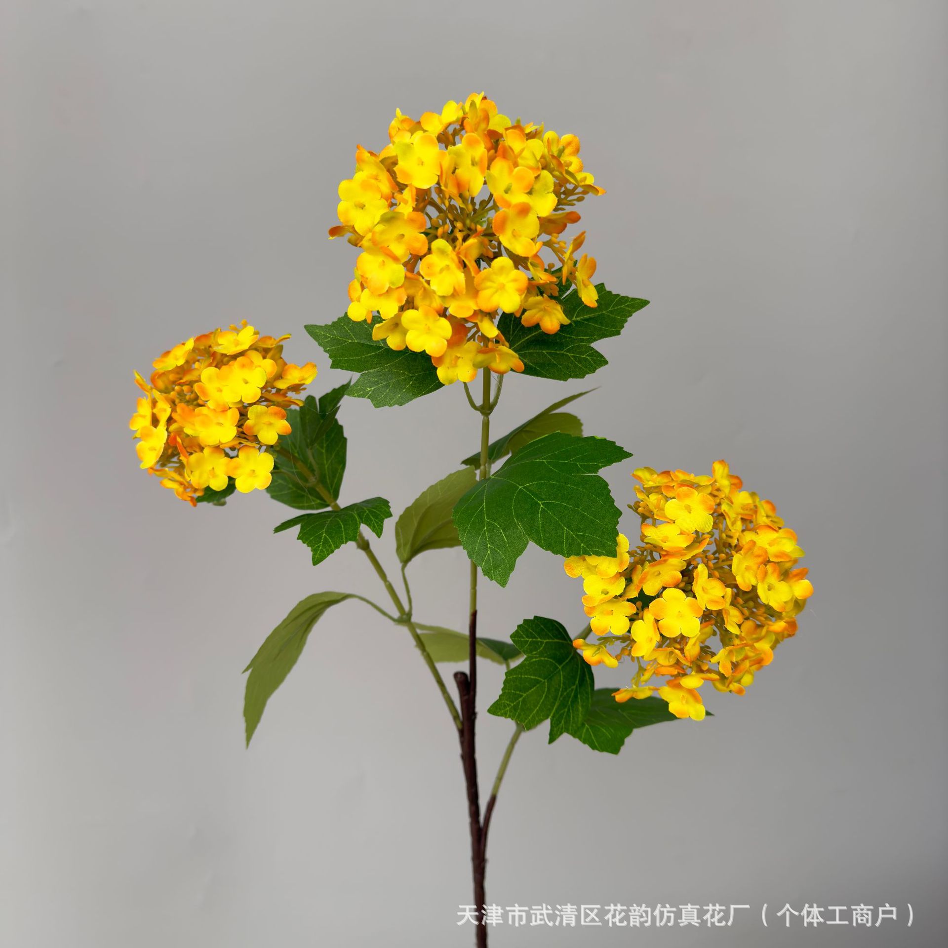 주황색