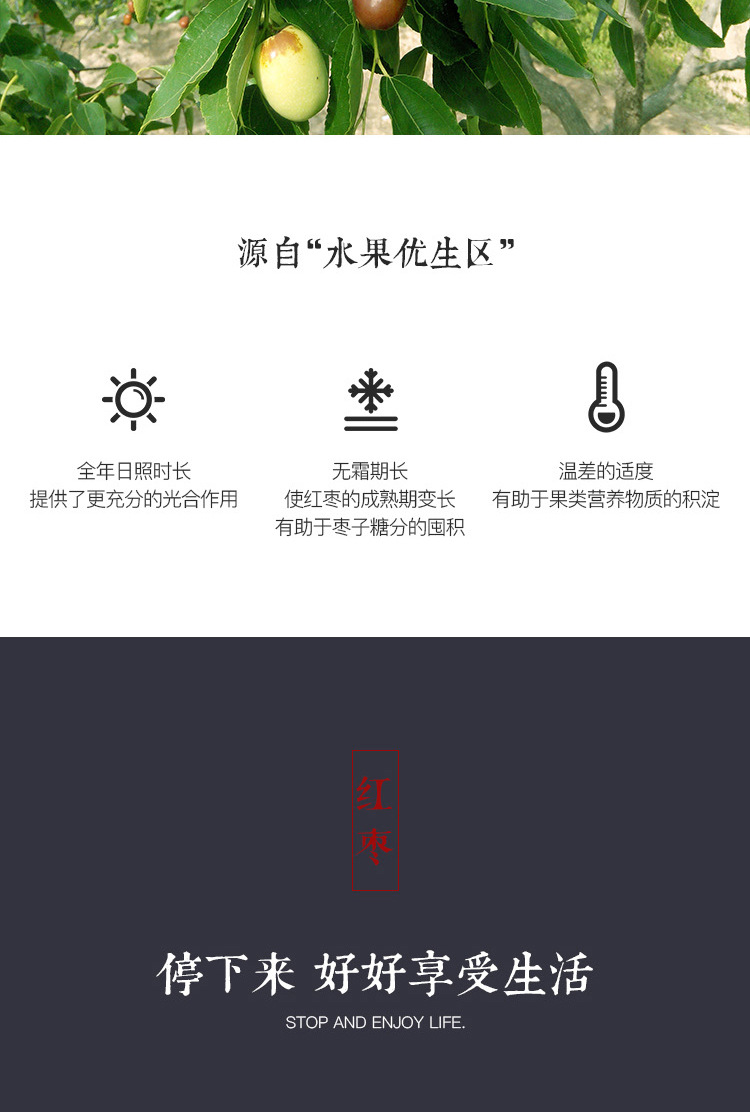 Xinjiang Red Dates Hong Zao Dried Jujube Fruit for Tea Soup Congee and Snacking 500g quality and texture